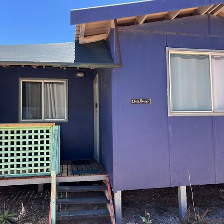 Shark Bay Cottages Denham Eksteriør bilde