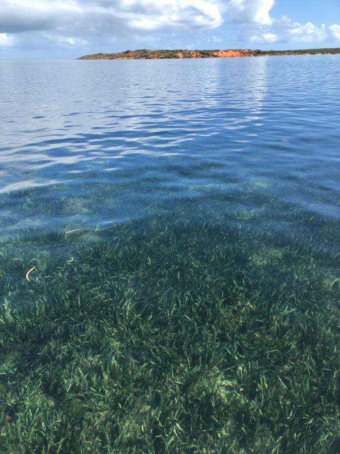 Shark Bay Cottages Denham Eksteriør bilde