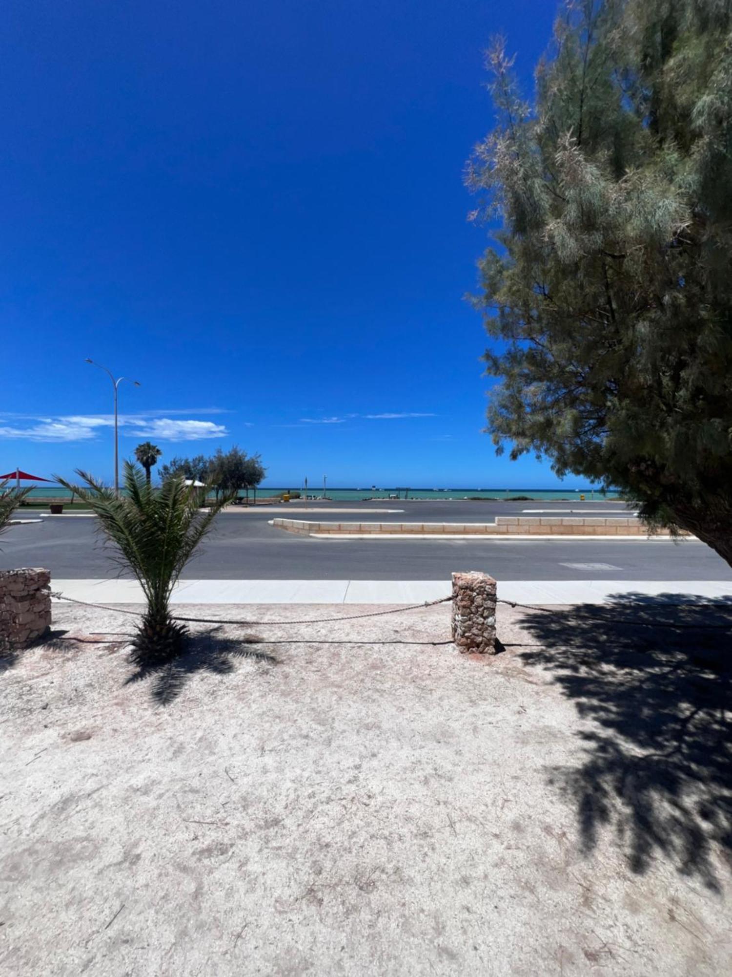 Shark Bay Cottages Denham Eksteriør bilde